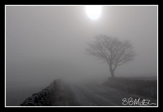 Vanishing Point: Photograph by Steve Milner